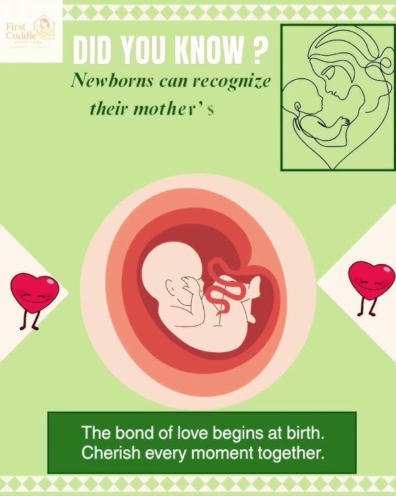 Talk 2 ur bump-ur baby is already listening.See description more details @FirstCuddle_HomeCare