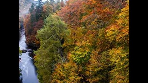 القارئ أحمد سعيد العمرانى ماتيسر من سورة مريم...🍃🍁🌸