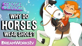 Why Do Horses Wear Shoes | Spirit Riding Free presents COLOSSAL QUESTIONS