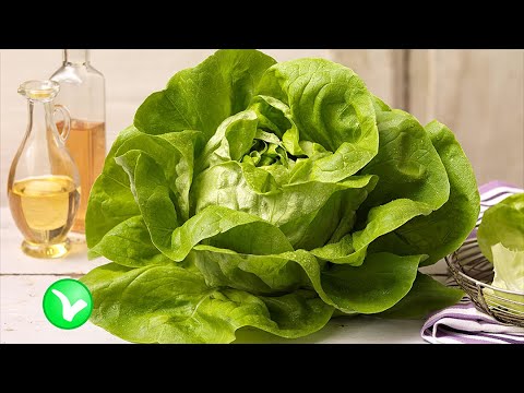 Видео: Сколько калорий в одном листе салата ромэн?