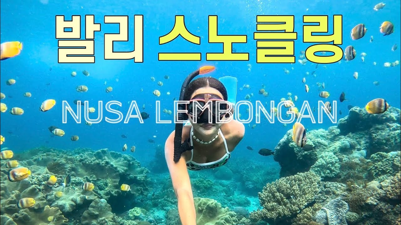 발리 누사렘봉안 투어 코스 추천 스노클링 악마의눈물 드림비치