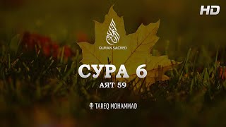 Сура: Аль Анам (Скот) Чтец: Tareq Mohammad