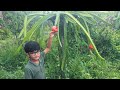 😍 Foreign Fruits Review By Abaan Muhammed - Part 2 | Malappuram, Kerala
