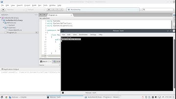 MonoDevelop/C# to keep console open with ReadKey()