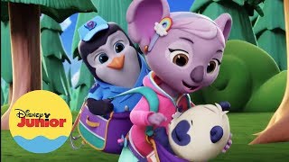 Pronto Tú Llegarás Tots Servicio De Entrega De Animalitos