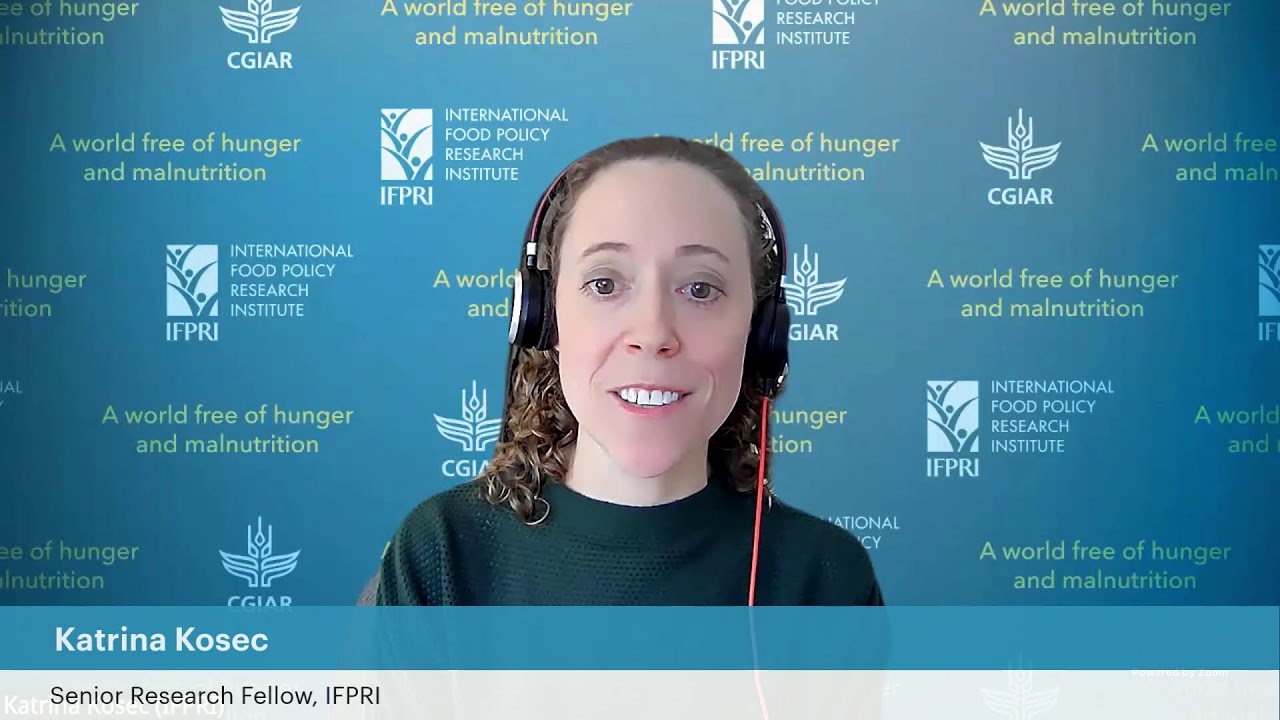 IFPRI Policy Seminar | Informing Crisis Response in Sudan