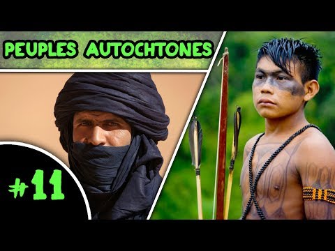 Vidéo: Différence Entre Les Maoris Et Les Autochtones