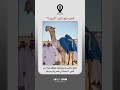 غازي الذيابي يشتري قعود ويطلق عليه أسم الدون 7