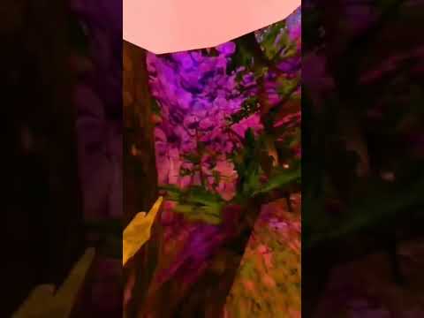 USE THIS SOUND!! #gorillatag #vr #edit #gorilla