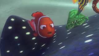 anemone spotted