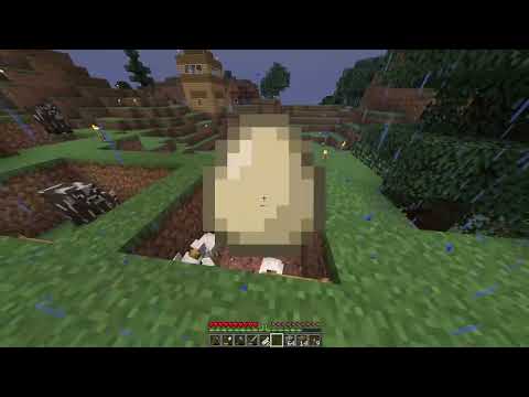 Minecraft 03