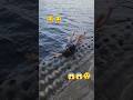 #Hooks video edit 😂😂 शॉर्ट वीडियो वायरल वीडियो #funny 🔥 ytshort hooks meme video Hooks video viral !