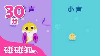 quan ji sha yu bao bao dan ci ge xue dan ci dan ci ge baby