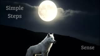 Download lagu SIMPLE STEPS  -  SENSE  - (FULL ALBUM) - [Post-Rock/Alternative Rock]