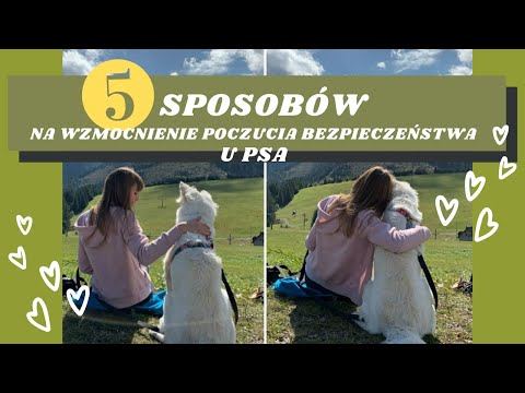 Wideo: 3 sposoby na poczucie bezpieczeństwa