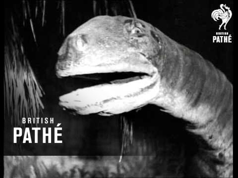 Before History (1933)