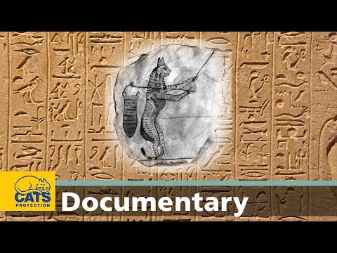 Cats through the ages: Ancient Egypt – episode 3