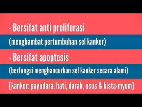 Cara membuat teh kulit manggis.. 