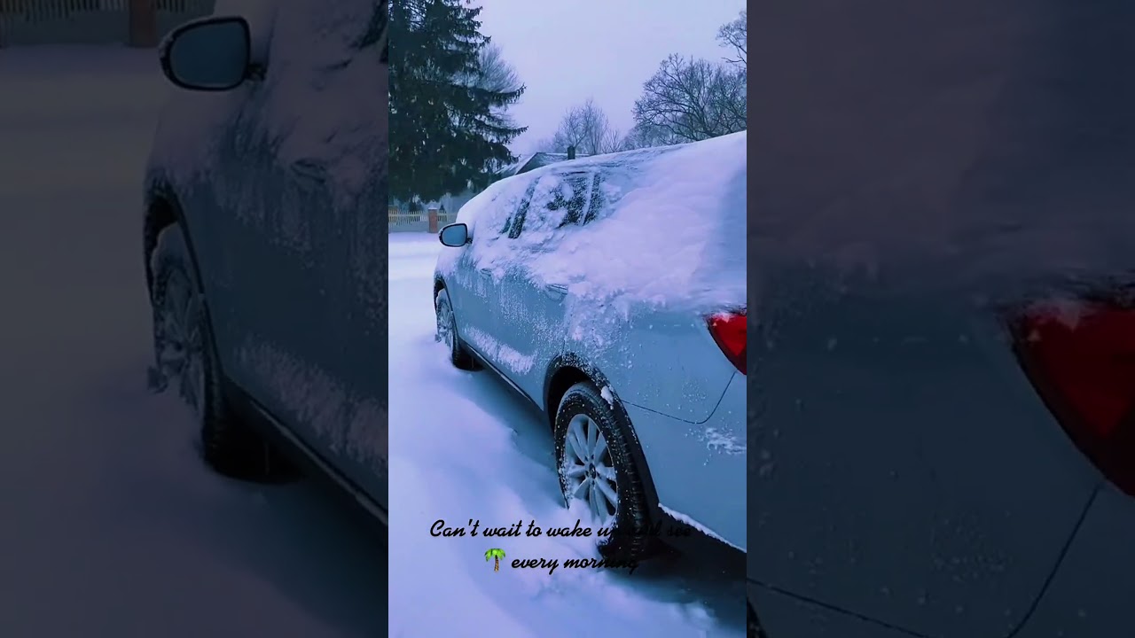 Escaping the Cold: Dreaming of Palm Trees and Island Vibes