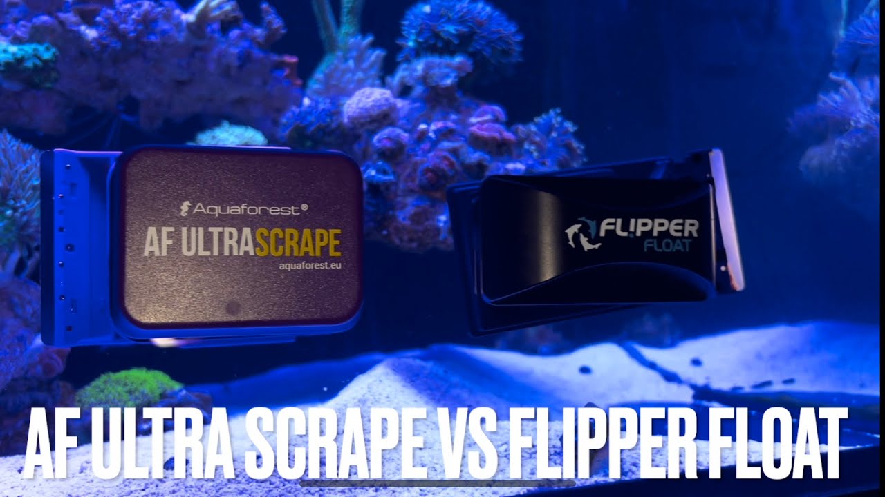 AF Ultra Scrapper против Flipper Float