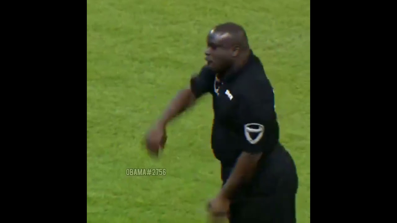 Ankha's Zone (you see this is a smart title because it's implying the zone is owned by ankha)