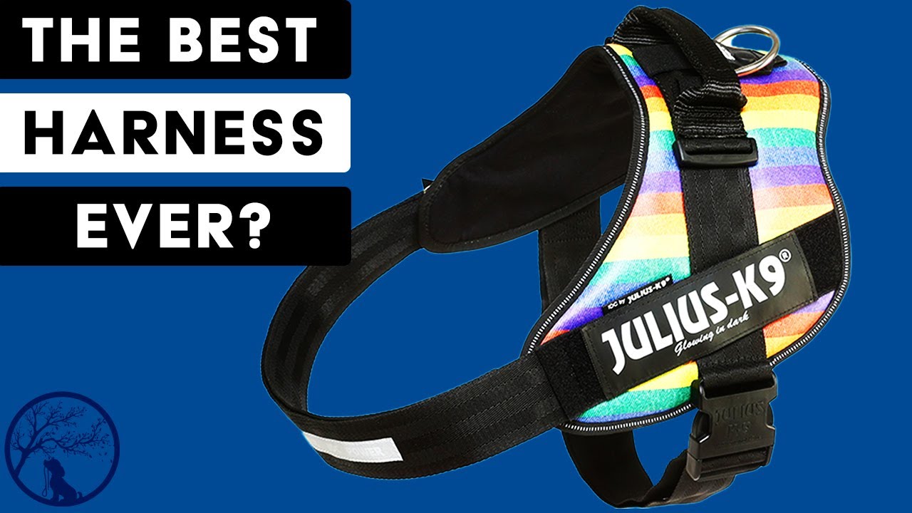 Julius K9 Harness Julius-K9 IDC Powerharness Dark Pink At Julius