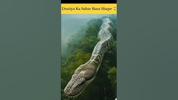 OMG 😱 World Biggest Snake |  History Call Fact Hindi  #shorts #history #historyfacts