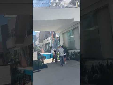 Ovation Hollywood Shopping