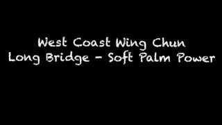 West Coast Wing Chun Long Bridge Soft Palm Brick Breaking screenshot 1