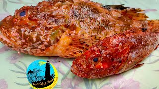 سمكة الاسكوربو أو سمكة العقرب و شوكتها السامة 😈 سمكة كسولة و مش بتحب الهجرة 😒😅