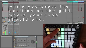 How to use the Launchpad (Mini mk3) as a Step Sequencer