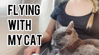 How to travel with your cat on plane | Stepbystep video |  Austrian Airlines