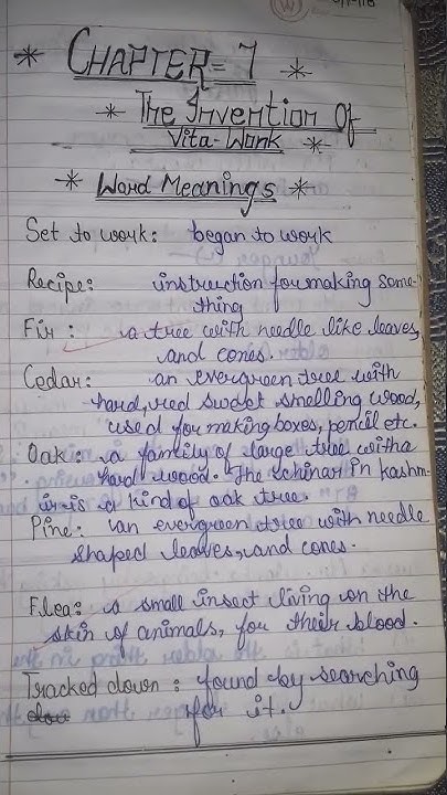 Class 7th English Chapter 7 The Invention Of Vita Wonk Word Meaning And class-7th-english-chapter-7-the-invention-of-vita-wonk-word-meaning-and