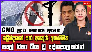 🔴Live | GMO ලාට  සෞඛ්‍ය ඇමති නලින්දගෙන් සැර අනතුරු ඇඟවීමක් සලේ නිසා බිය වූ දේශපාලකයින්