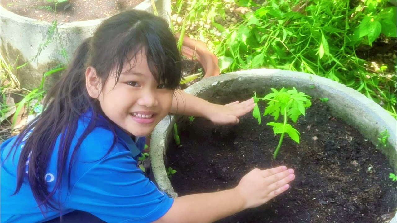 นำเสนอการประเมินคุณภาพภายนอก สมศ. รอบ 5 โรงเรียนเมืองพัทยา 8 (พัทธยานุกูล)