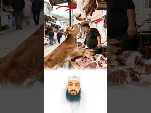 بحث عن أمه ولم يجد منها إلا أثر ا فاقترب منها ببراءة طفل لا يفهم القسوة فقط يفهم الحم كسبلور