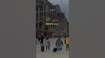 تلاوة خاشعة لآيات من كتاب الله #القرآن_الكريم #القرآن #الله #اكسبلور #foryou #راحة_نفسية #viral