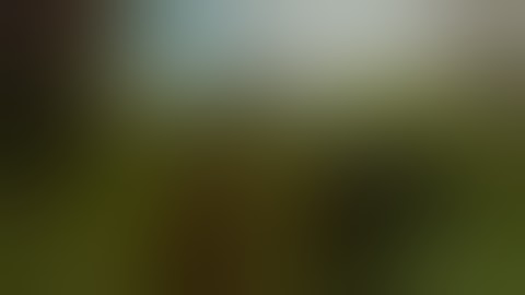 Hanse Base Fight Part I - The Witcher 3: Blood and Wine