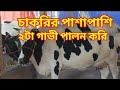স্বাবলম্বী হতে হলে চাকরির পাশাপাশি দুইটা গাভী পালন করুন
