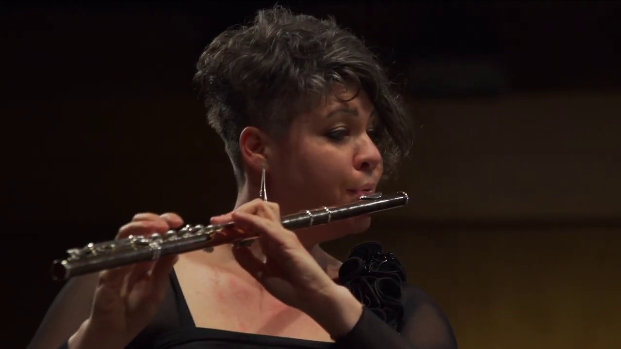 G. Donizetti: Sonáta pro flétnu a harfu / Sonata for flute and harp -  YouTube