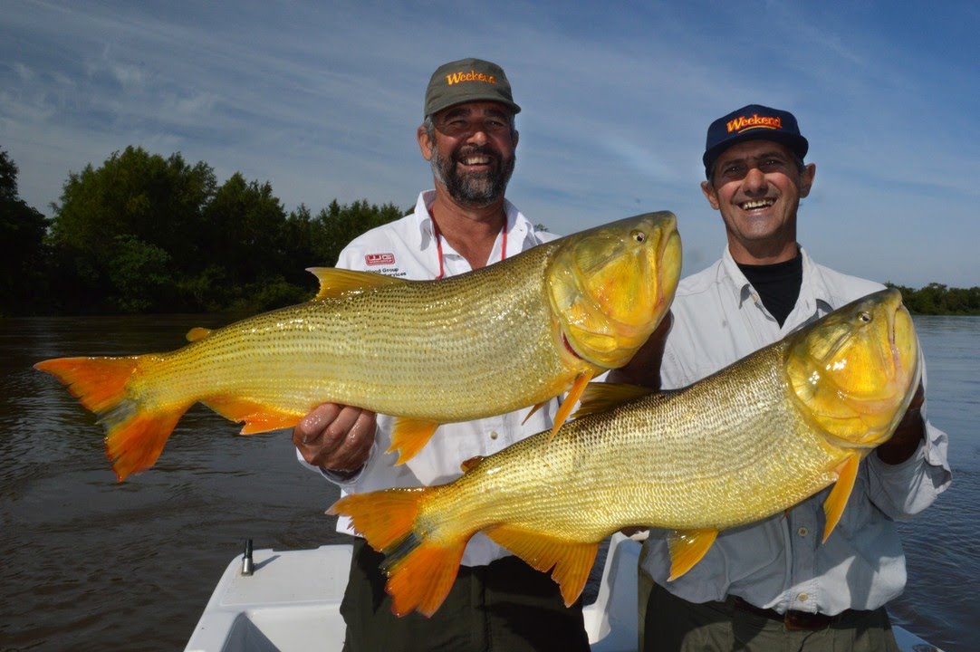 Comunidad Santa Lucía: Pesca de dorados en Santa Lucía