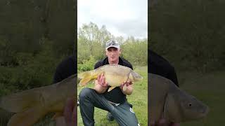 LOVING LIFE ON THE BANK #fishing #carp #carpfishing #fish #carpworld #carplife