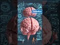 Inside Your Brain🧠 #science #brainfacts #shorts #fyp #viralvideo