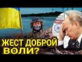 Жест доброй воли или уноси готовенького? 🔥Таро прогноз