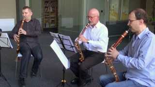 Lotz Trio - Basset Horn trio - W.A.Mozart: Zauberflöte - Marsch der Priester HD screenshot 5