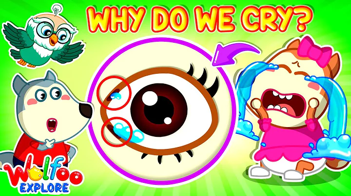 Why Do We Cry? | 🔍 Wolfoo Explore - Human Body | Educational Videos for Kids