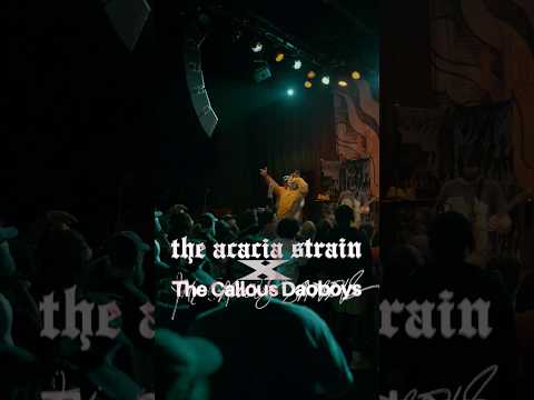 THE ACACIA STRAIN X @thecallousdaoboys3398