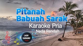 Pitanah Buah Sarak Karaoke || Zalmon || Nada Pria Rendah -3