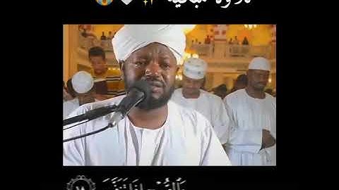 فضيلة الشيخ نورين محمد صديق له الرحمة والمغفرة / تلاوة مبكية 😭😭