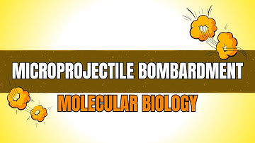 Microprojectile Bombardment (Gene Gun Method): Principle, Steps & Applications, | Molecular Biology